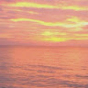 Meet your Posher, Jacqueline